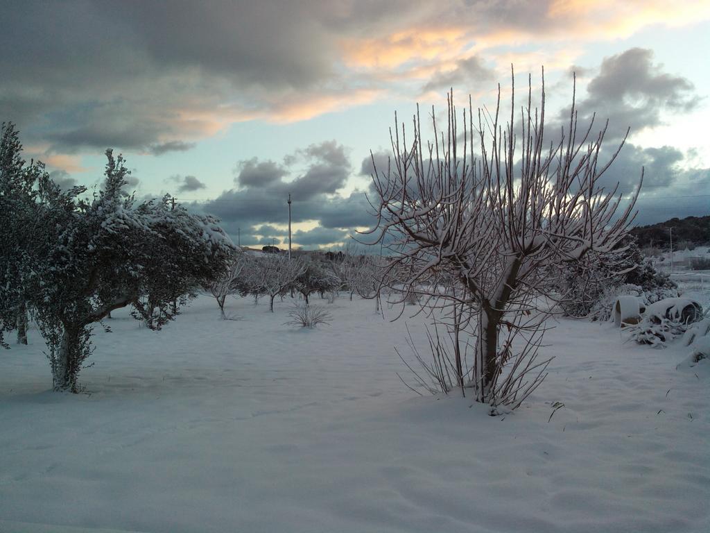 Dimora Antonianna In Valle D'Itria Locorotondo Dış mekan fotoğraf